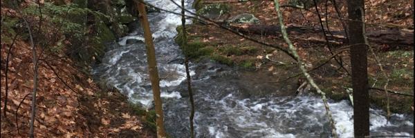 Lake George tributary stream